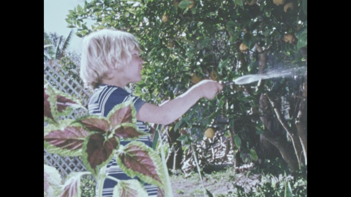 A still image from Ask an Australian about her household [Italian version]