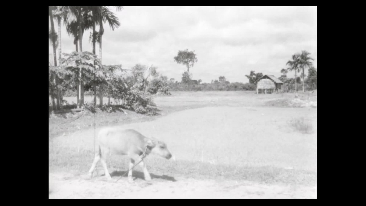 A still image from Om and Prom from Cambodia