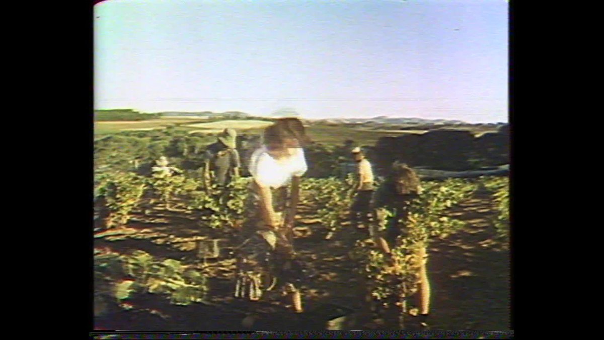 A still image from Days I'll remember in South Australia