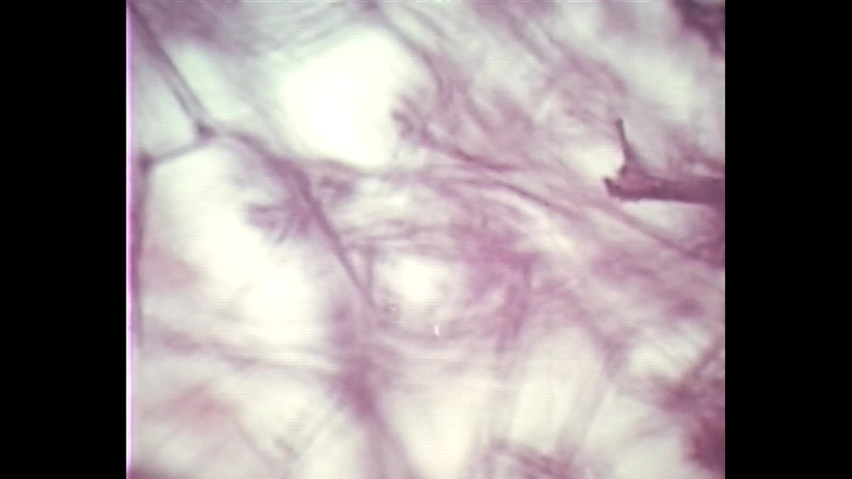 A still image from November = Novembre