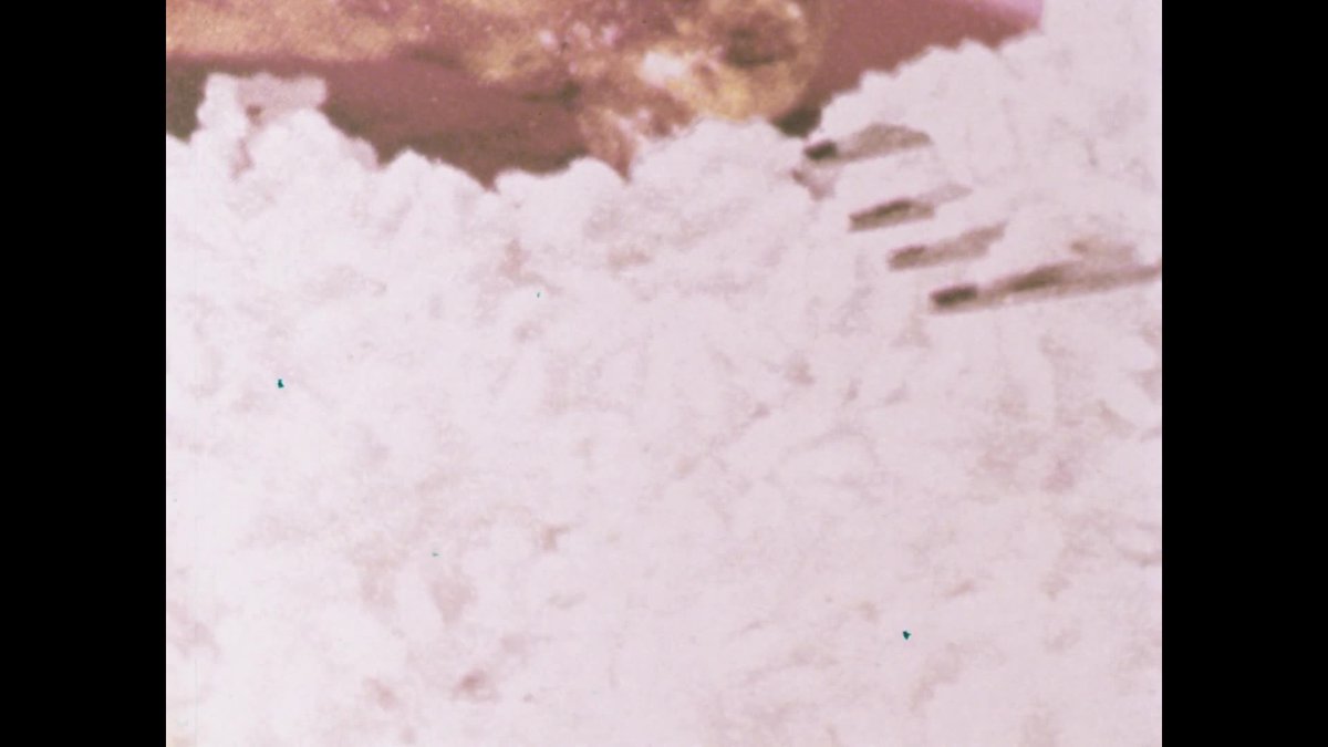 A still image from Eat, drink and be wary