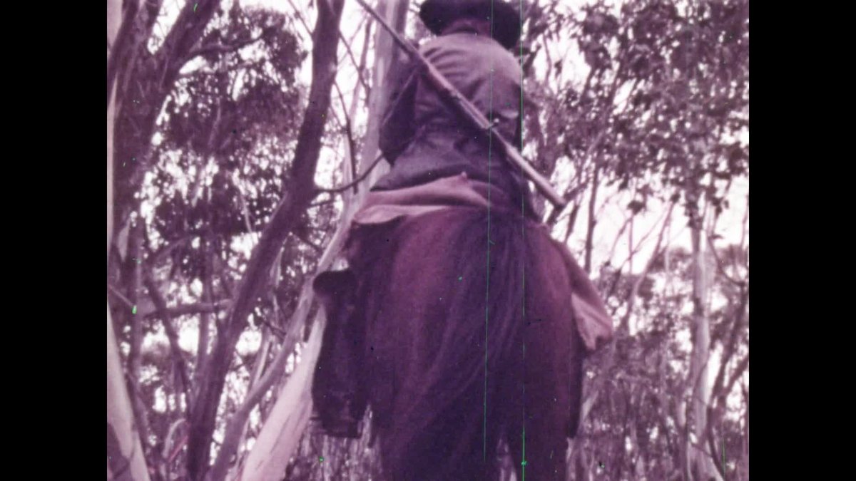 A still image from Trapper Murphy