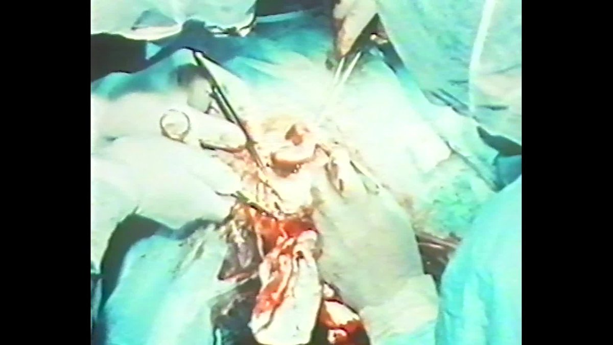 A still image from The Work That Was. Parts 1 & 2