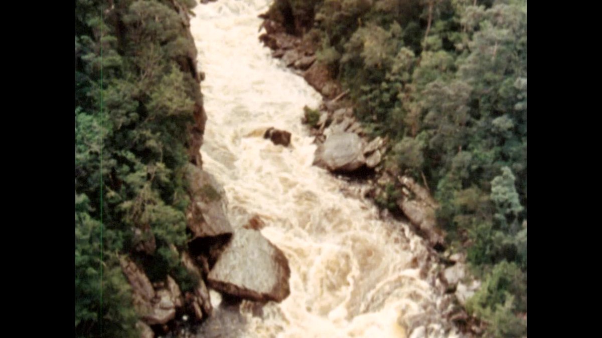 A still image from Gordon splits