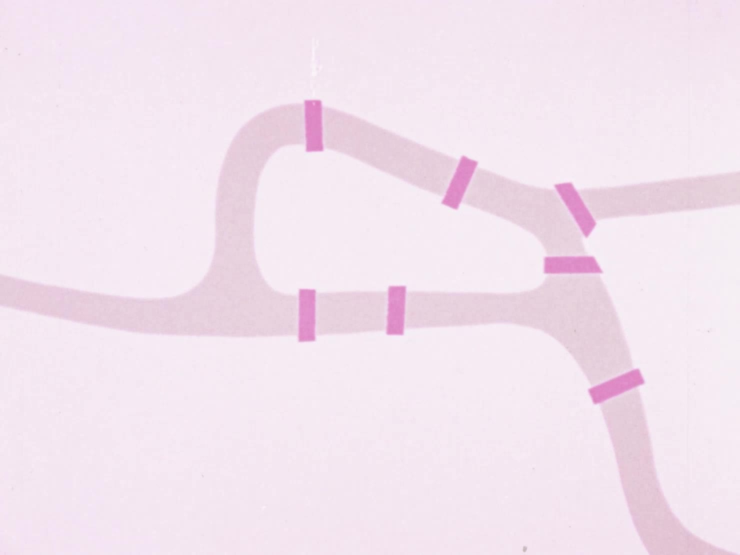 The Seven bridges of Koenigsberg thumbnail image.