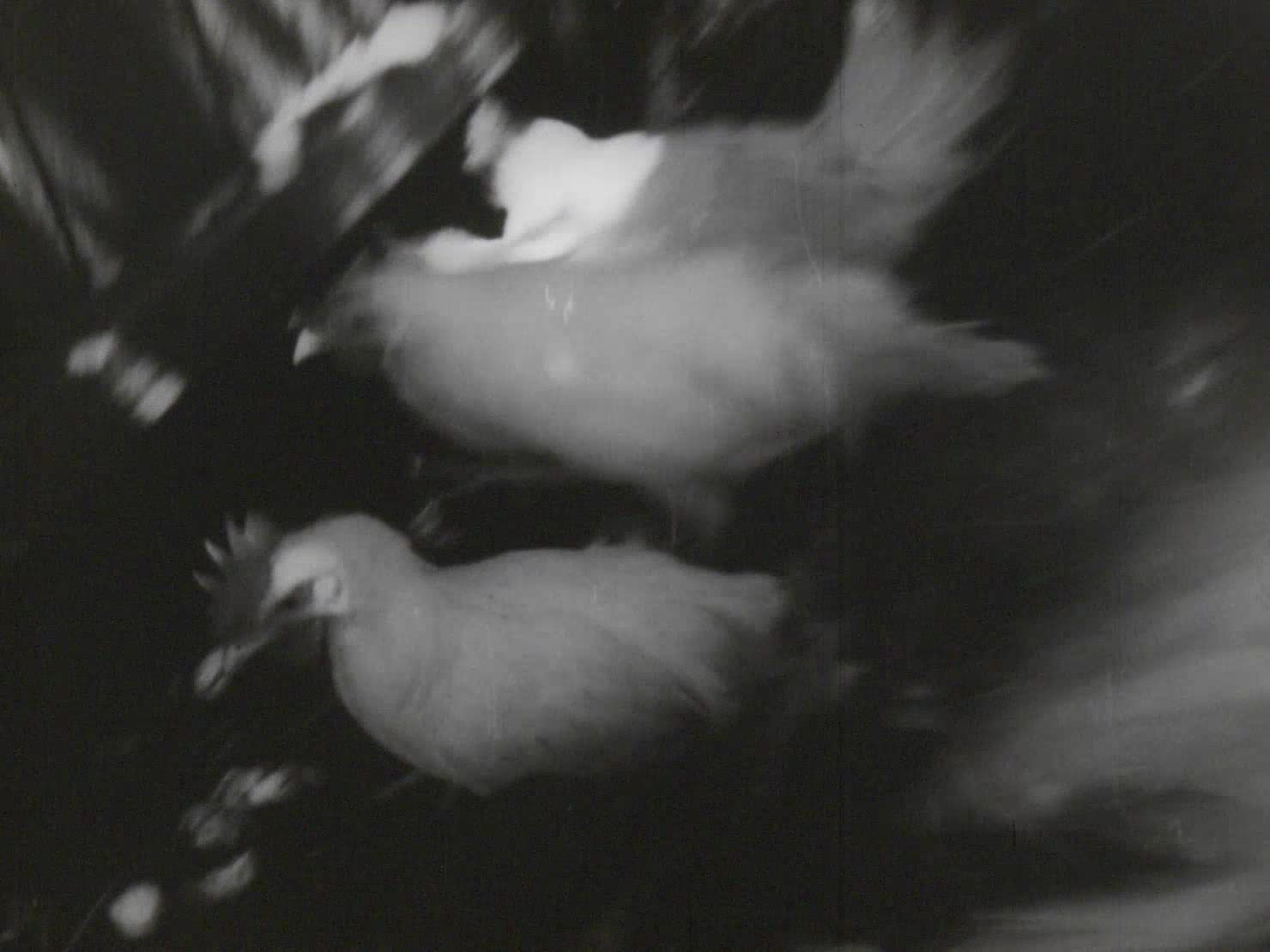 The Gunpowder Man thumbnail image.