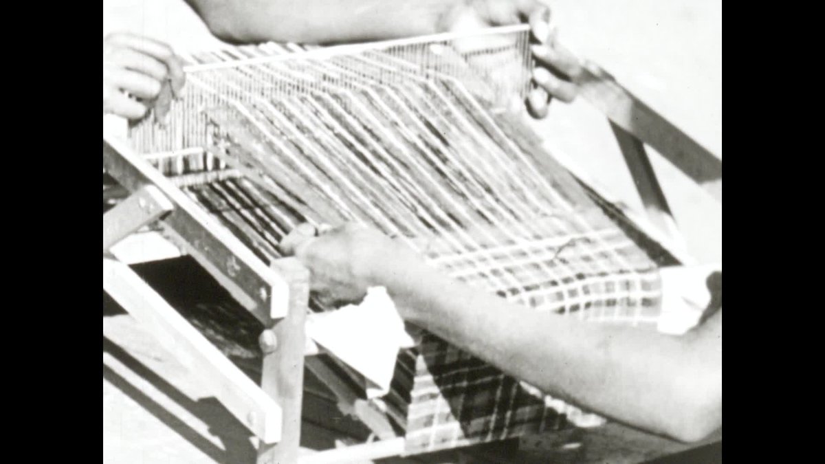 A still image from Children of the Musgraves (A)