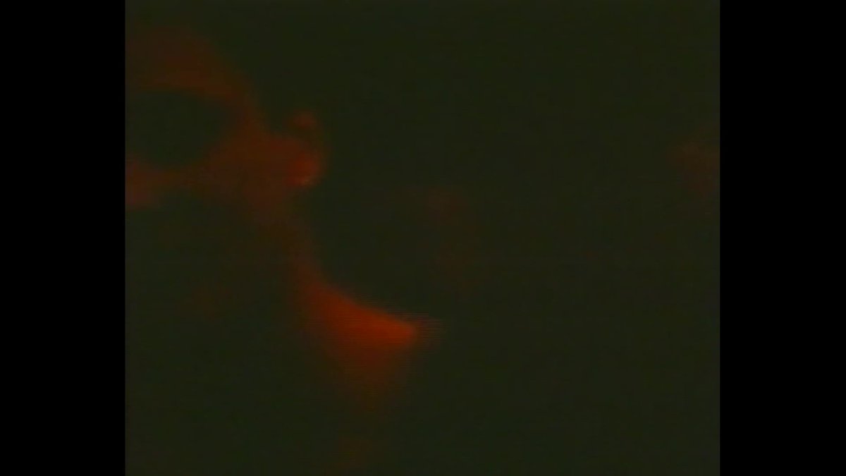 A still image from My survival as a deviant