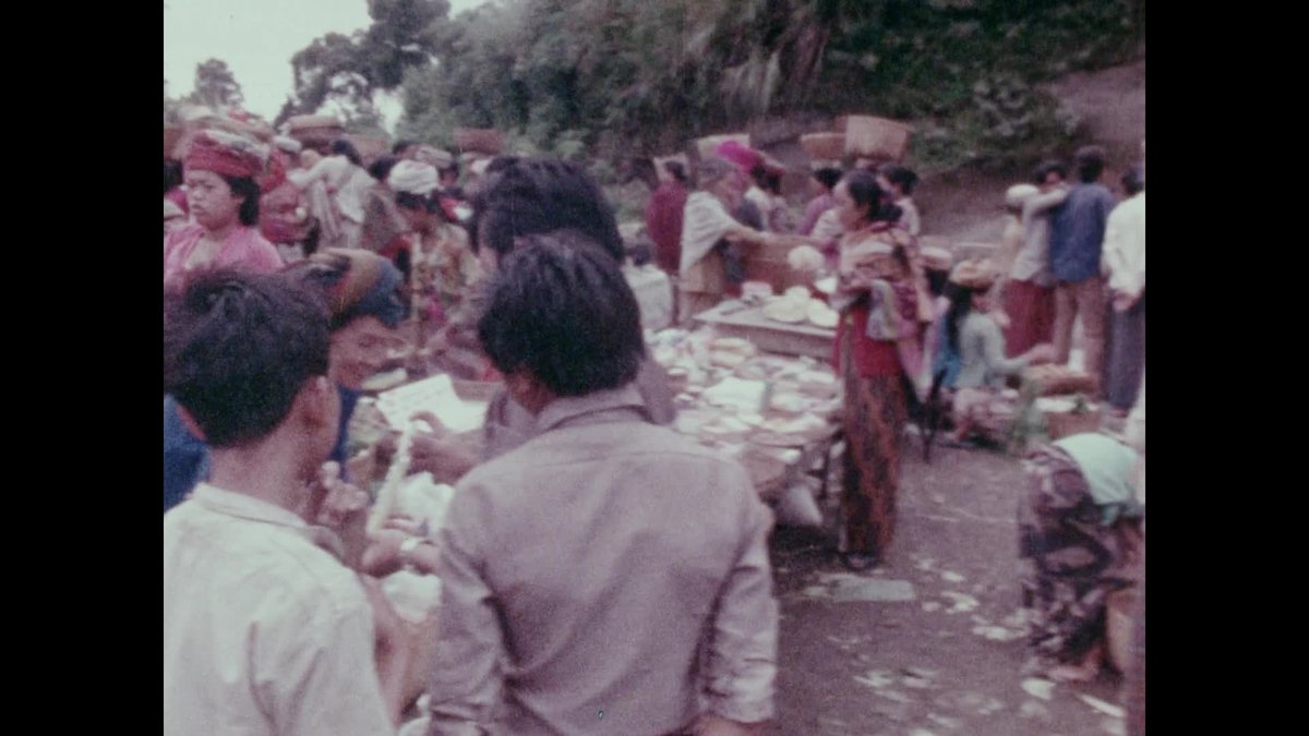 A still image from Indonesia: an Alternative Lifestyle