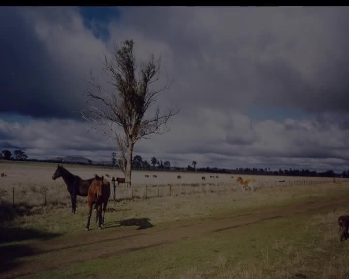 A still image from A story about nan & pop