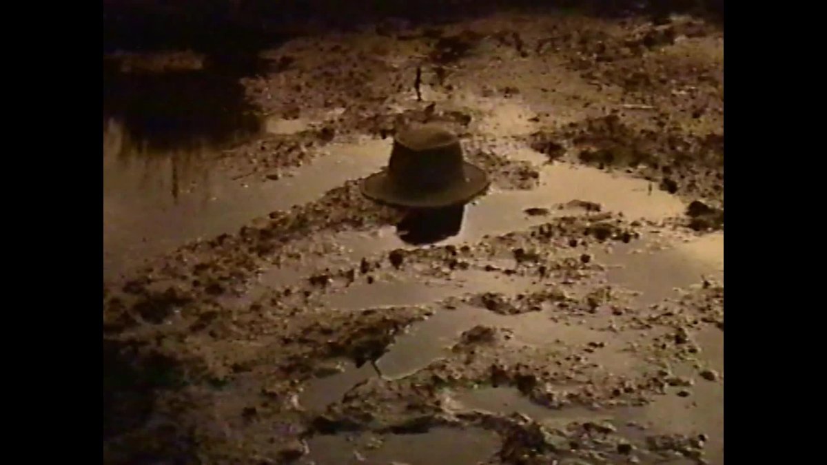 A still image from Walk softly: minimal impact bushwalking