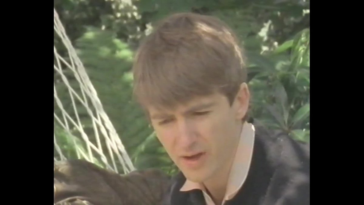 A still image from Australia's Best: Music & Images of Australians in the 80's