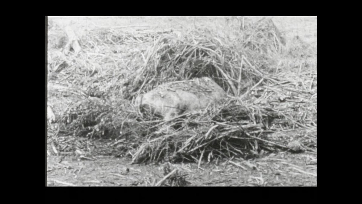 A still image from Cyclone = Ciclon