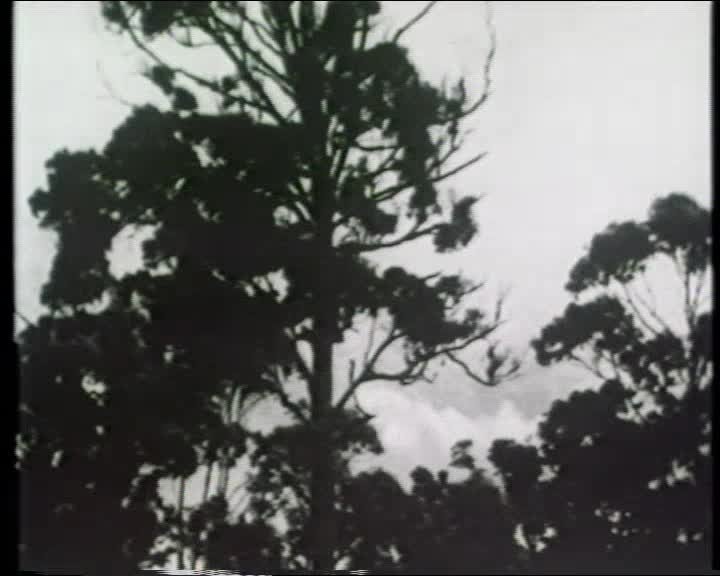 A still image from The Moving Record