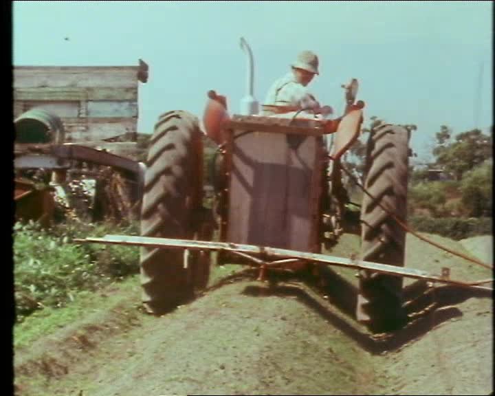 A still image from Dirty Harry