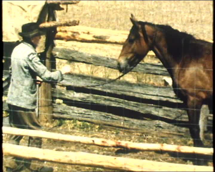 A still image from Horse breaking