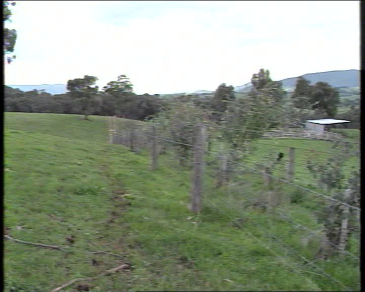 Kiewa catchment farm tree group: a community in action thumbnail image.