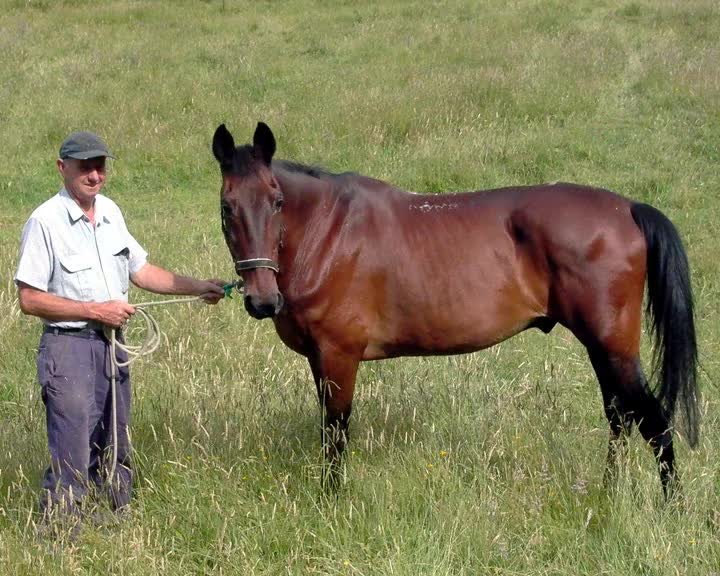 A still image from That dreaded phone call