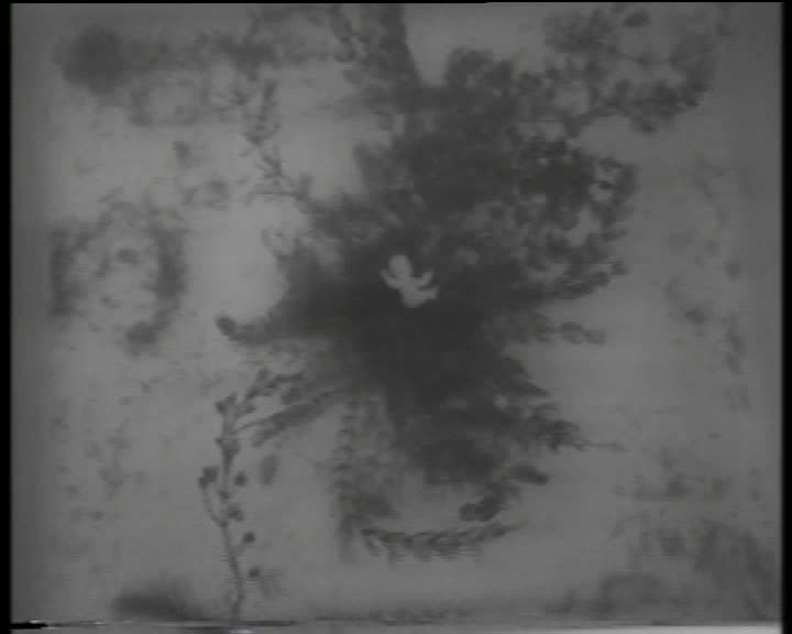 A still image from Tony Oursler: Selected works