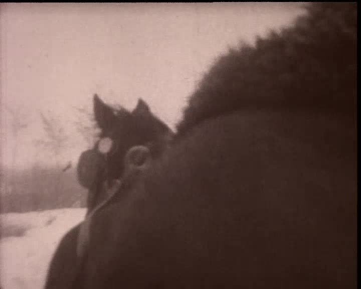 A still image from Bourgeois dictionaries (Private Hungary 7)