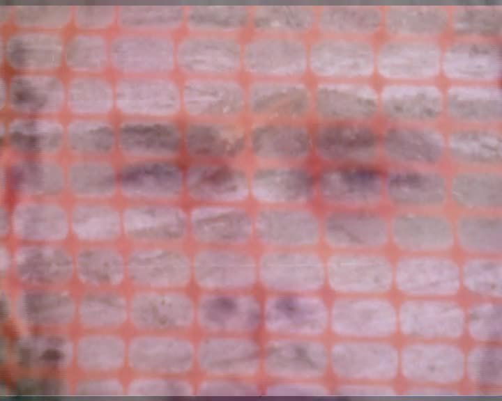 A still image from Weeding wars in peaceful places