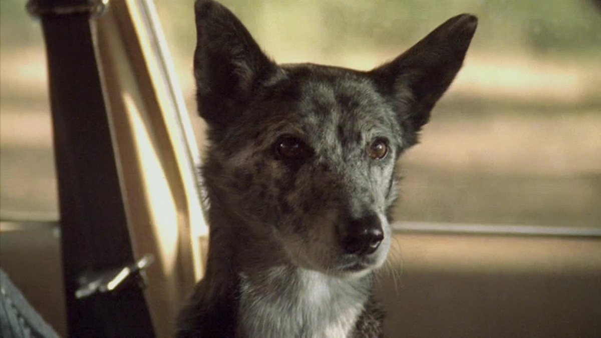 A still image from Bad Habits