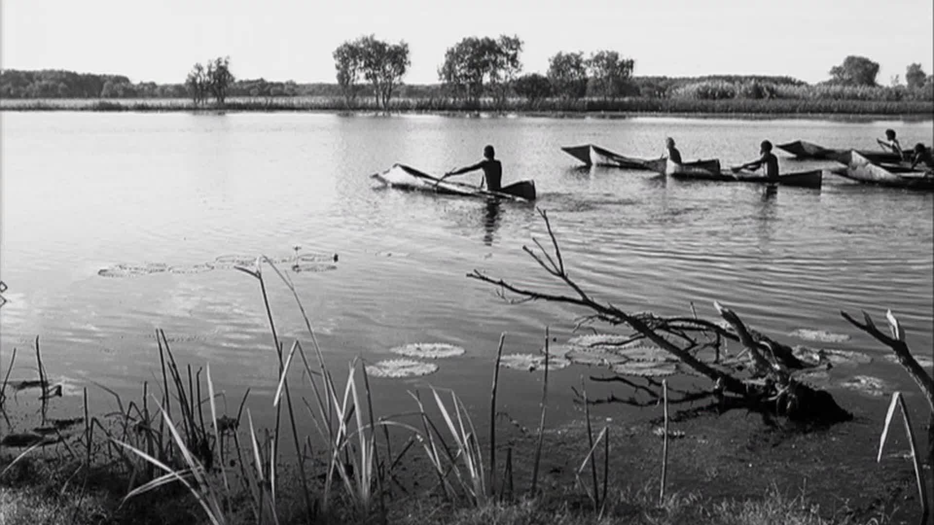 Rolf de Heer: Screen Worlds Spotlight interview thumbnail image.