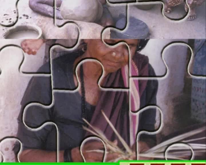 A still image from Why plant millions of trees