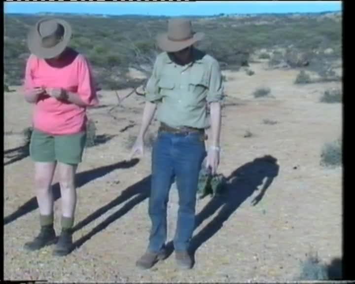 A still image from The great dinosaur hunt