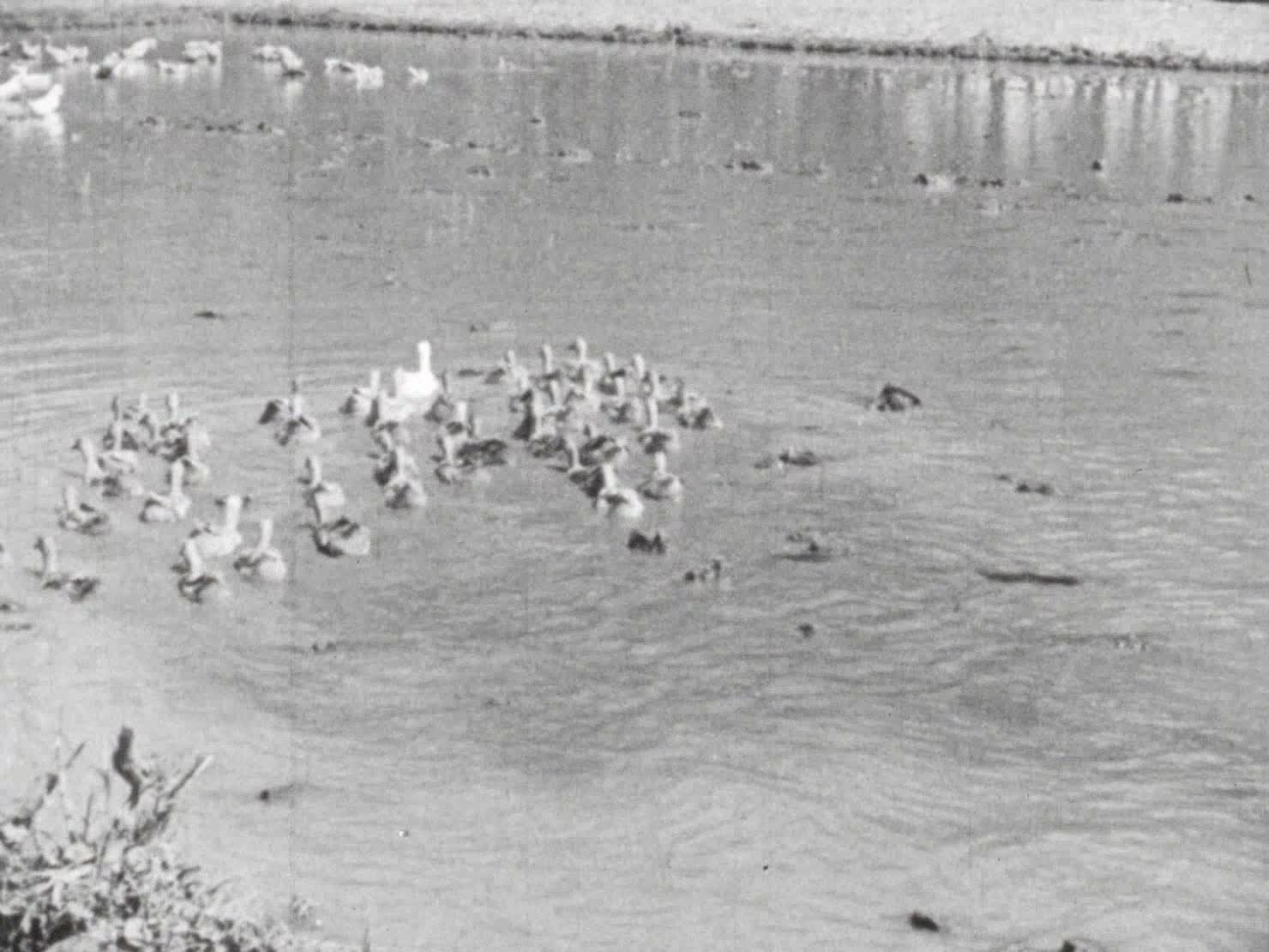 Alluring Bali thumbnail image.