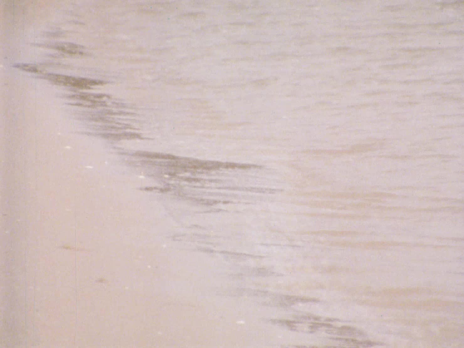 Big painter thumbnail image.