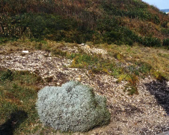 A still image from Listen up my cherubs!