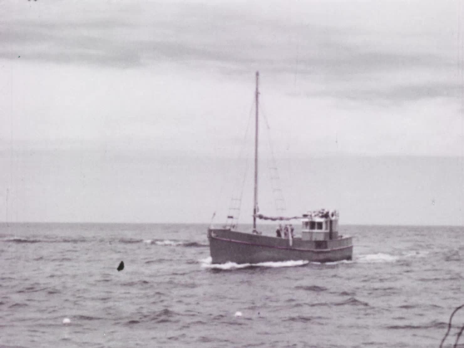 Fremantle cray fishers thumbnail image.