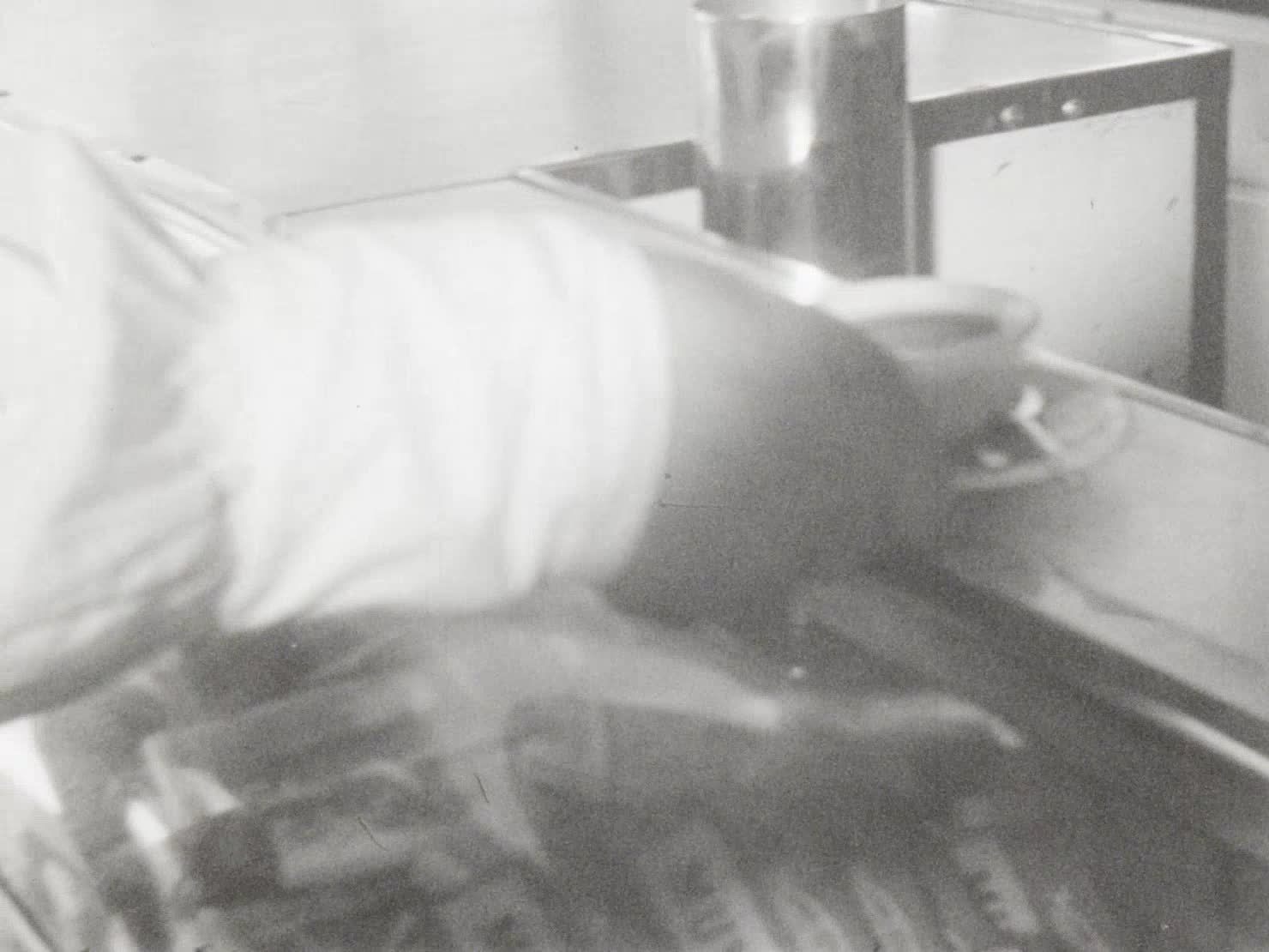 Shelter thumbnail image.