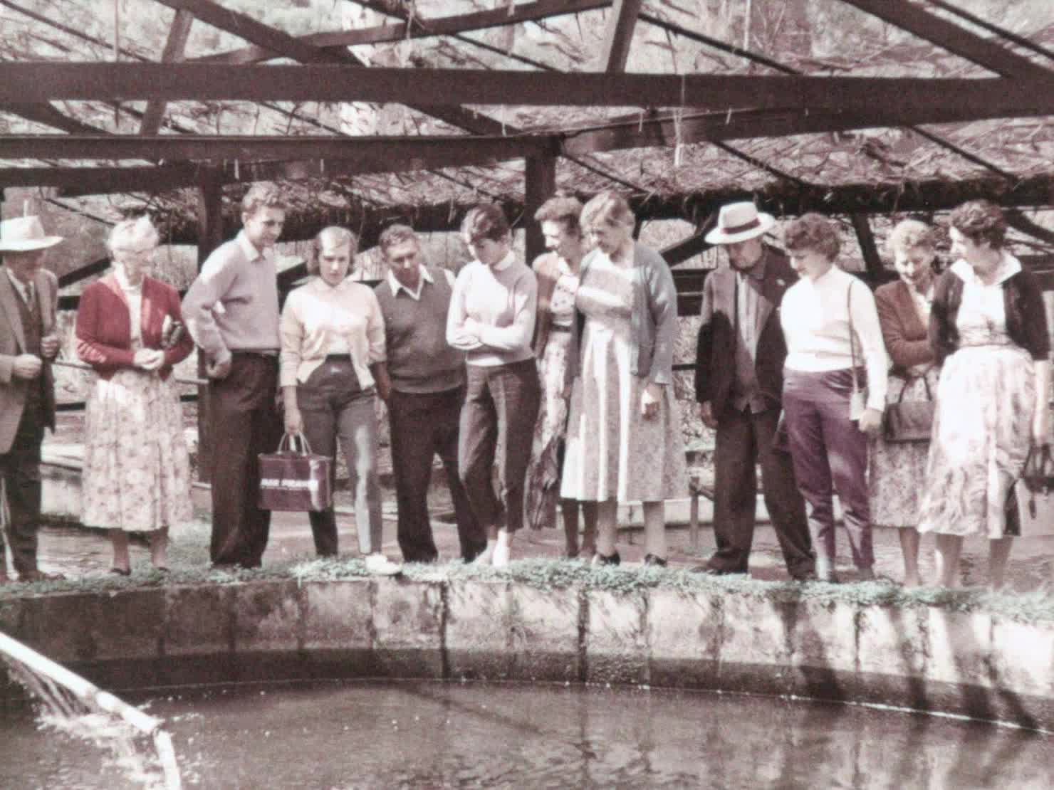 Summer scene thumbnail image.