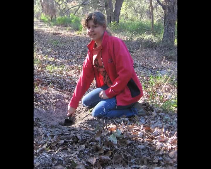 This is a story about the land we live on thumbnail image.