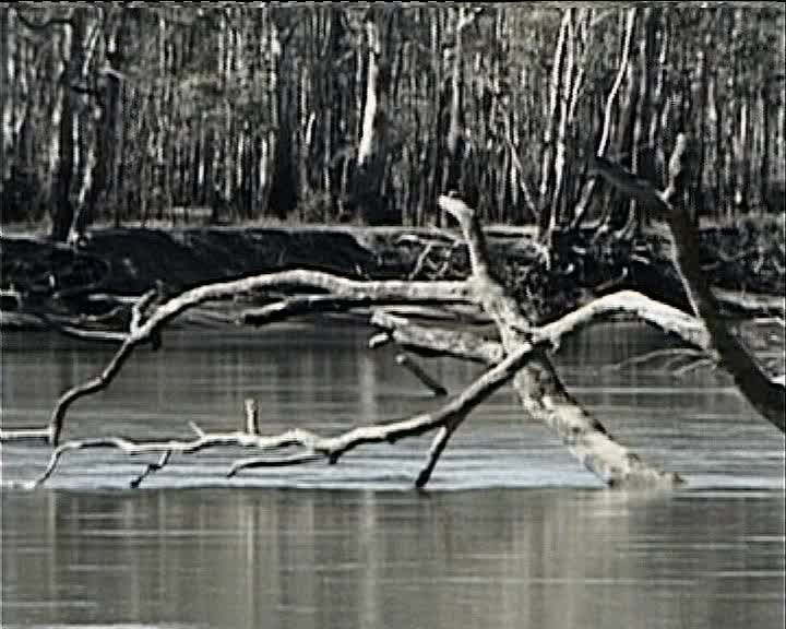 A still image from They were good times