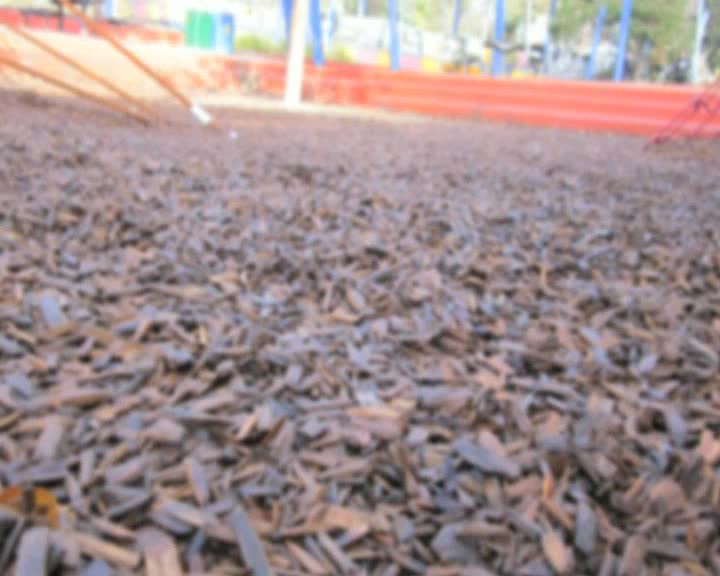 One day at the park thumbnail image.