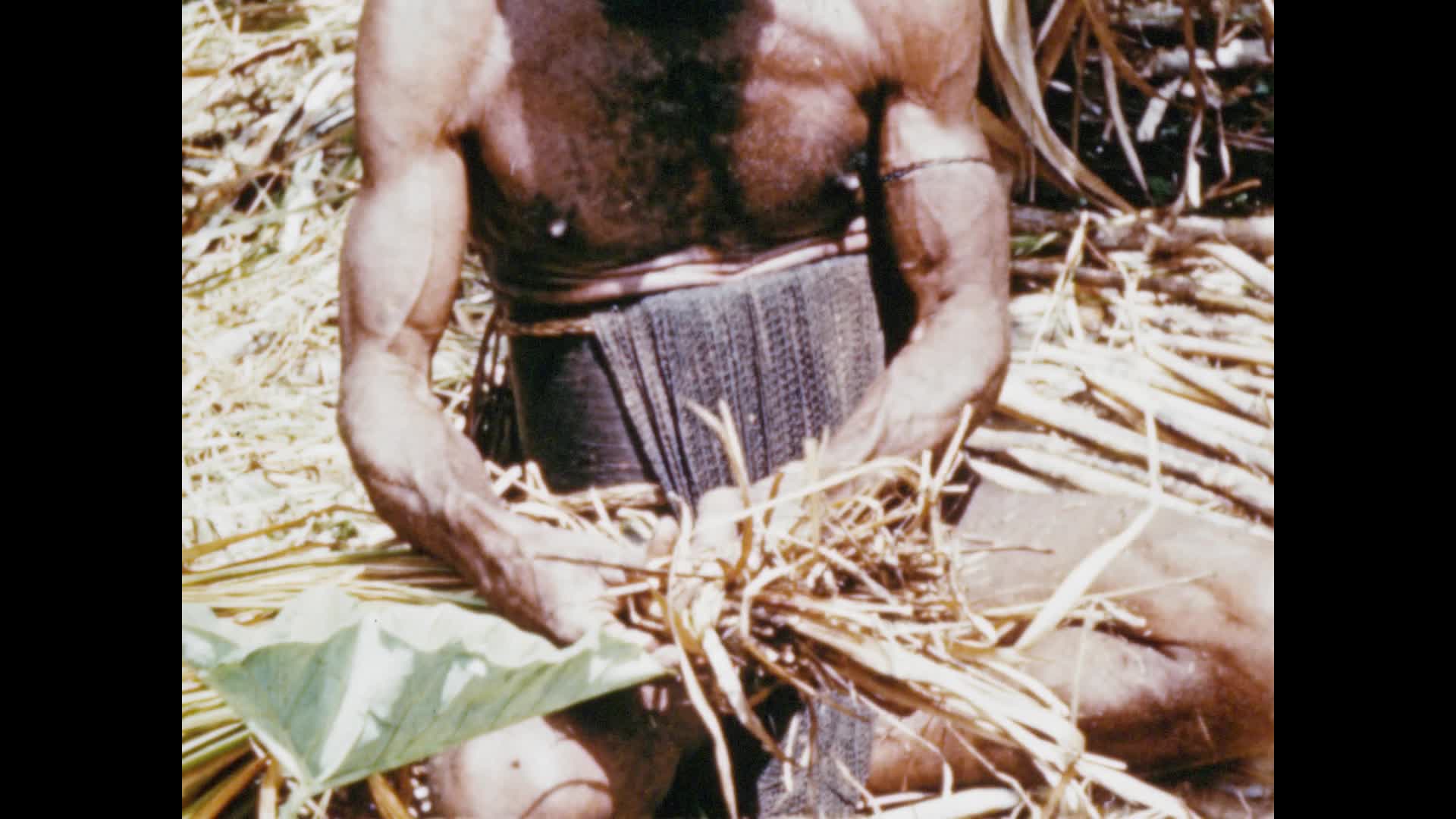 Festival of the pig thumbnail image.