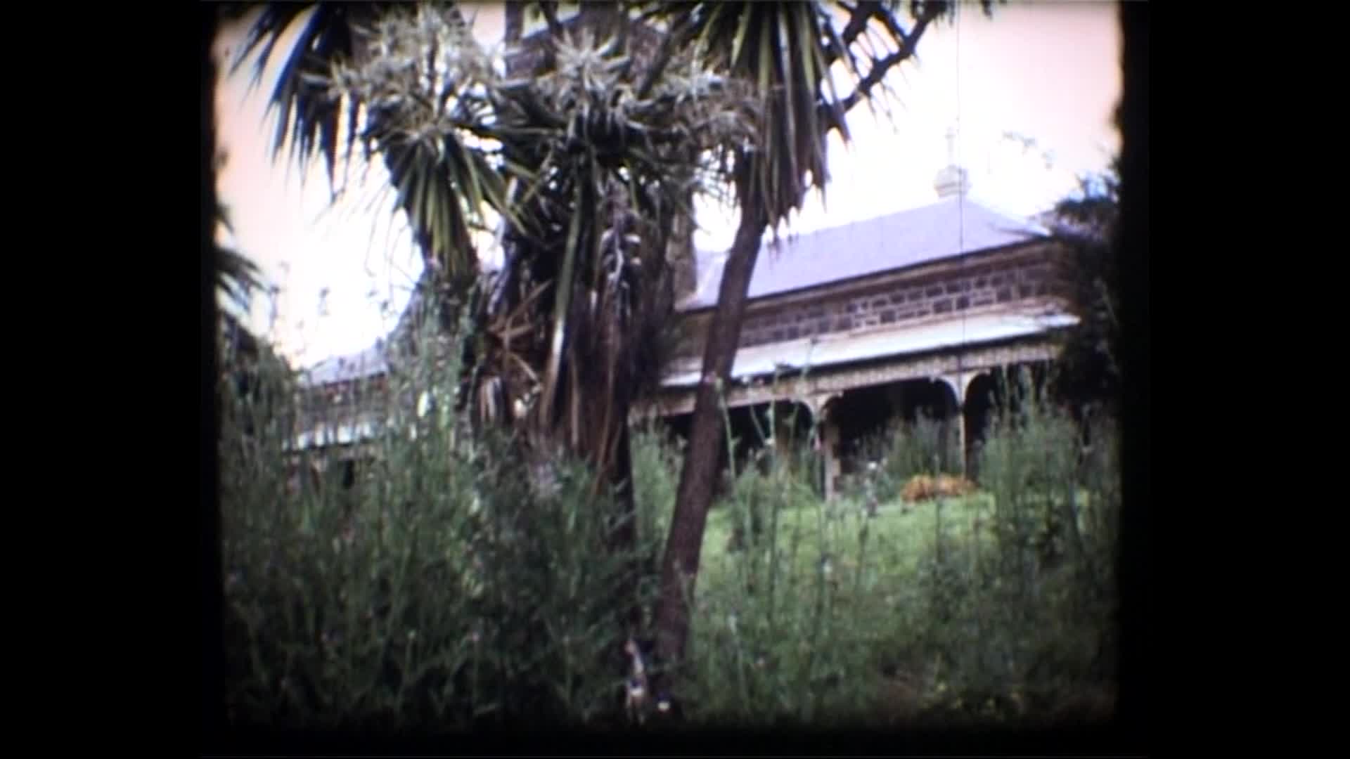 Narrapumelap thumbnail image.