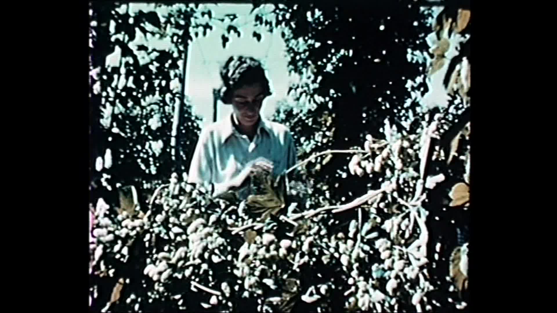 A Postcard from Ovens thumbnail image.