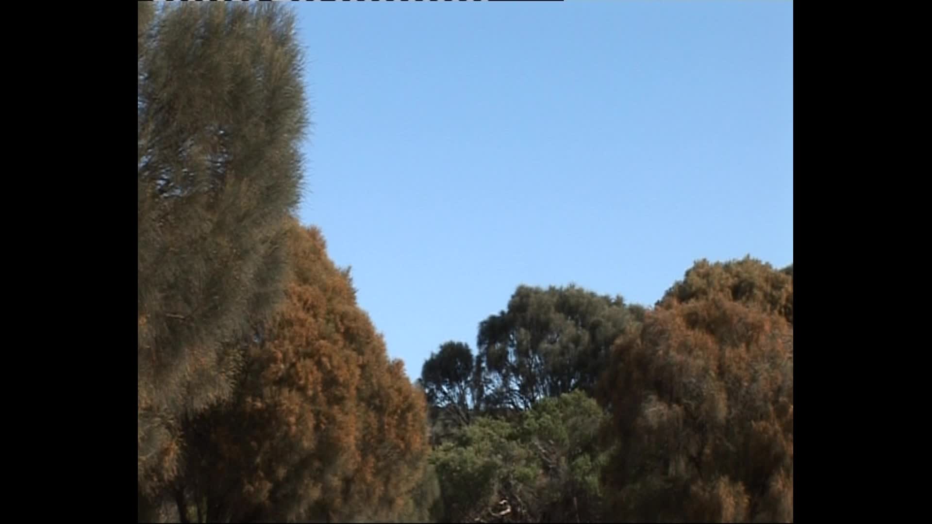 Graham Baxter: park ranger thumbnail image.