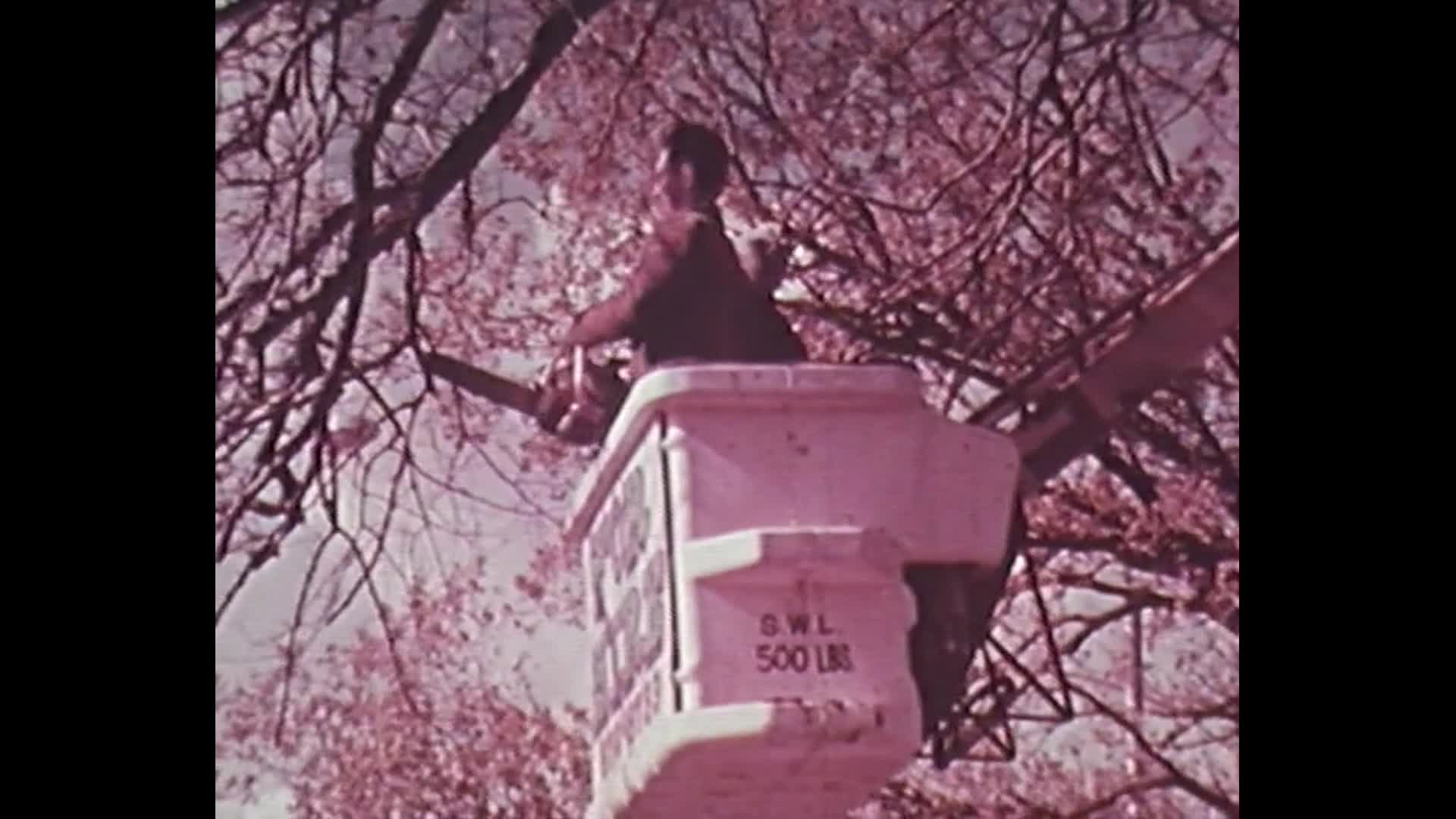 Autumn days thumbnail image.