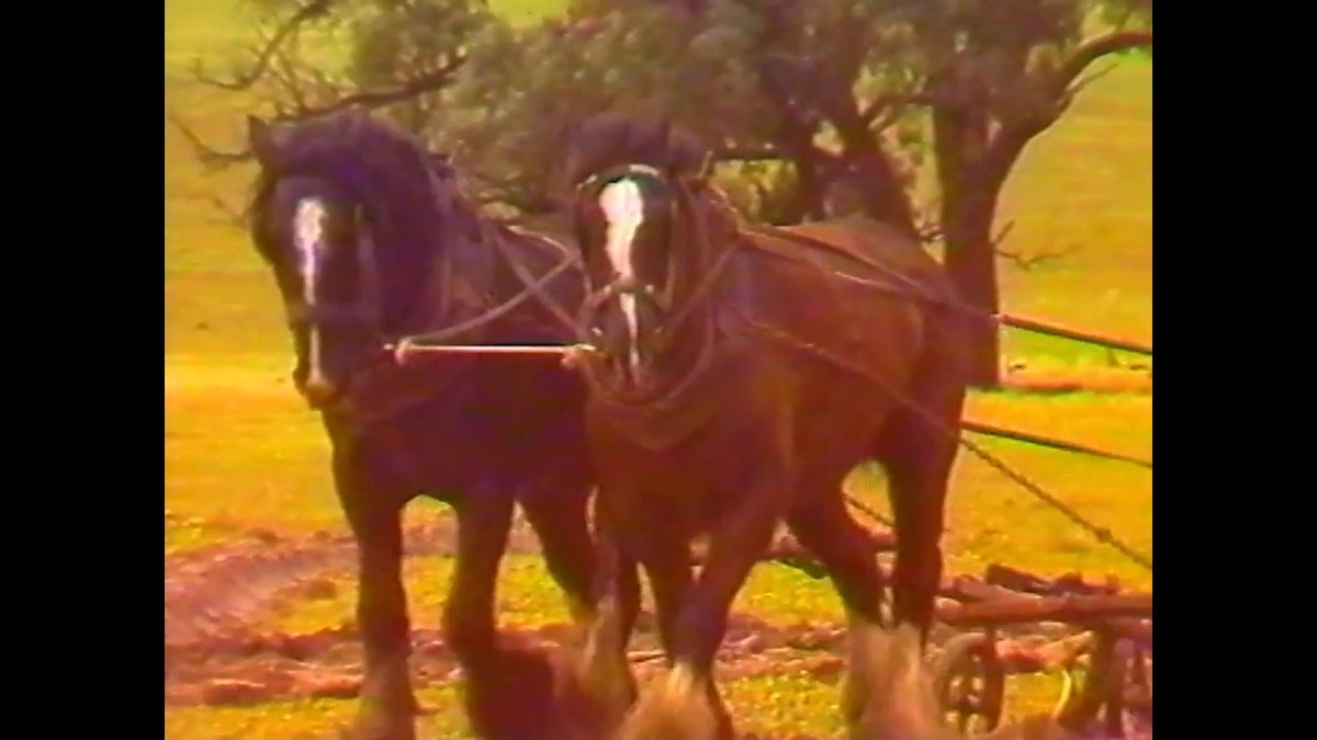 Seeds of change thumbnail image.