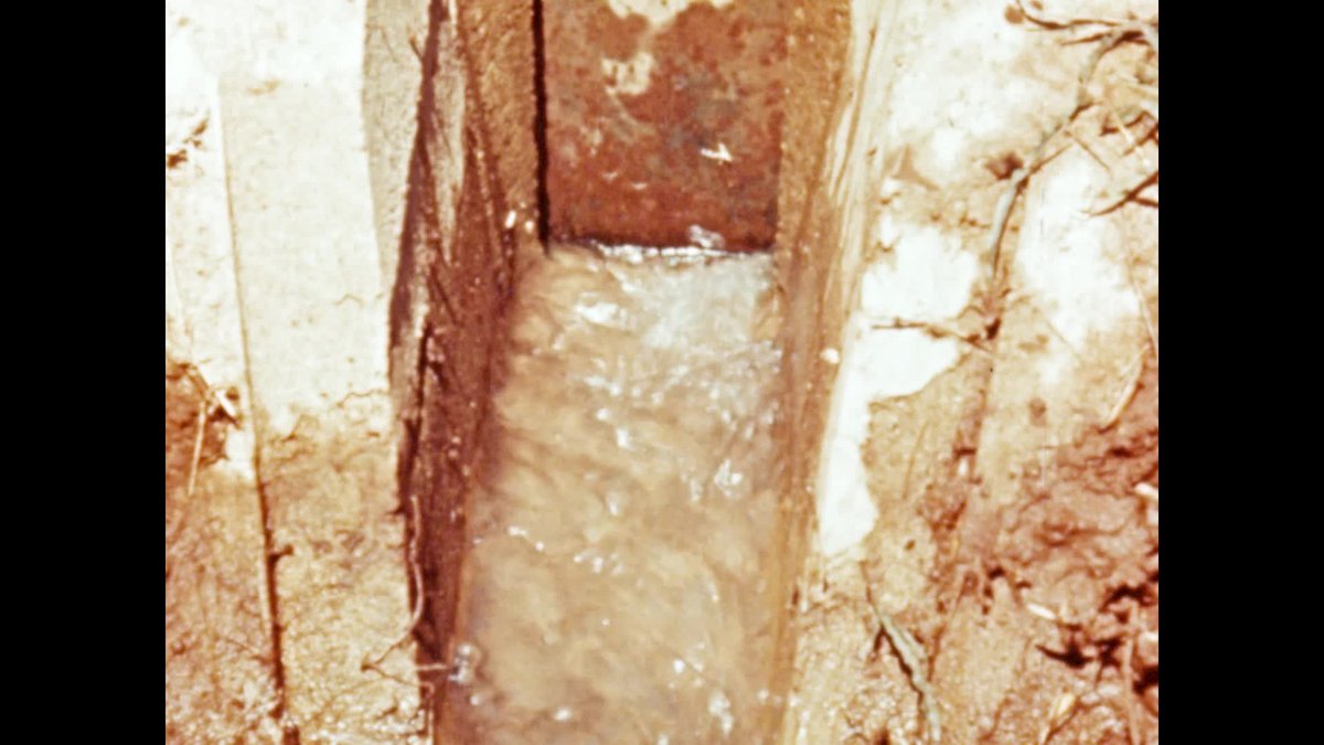 The Importance of flow in furrow irrigation thumbnail image.