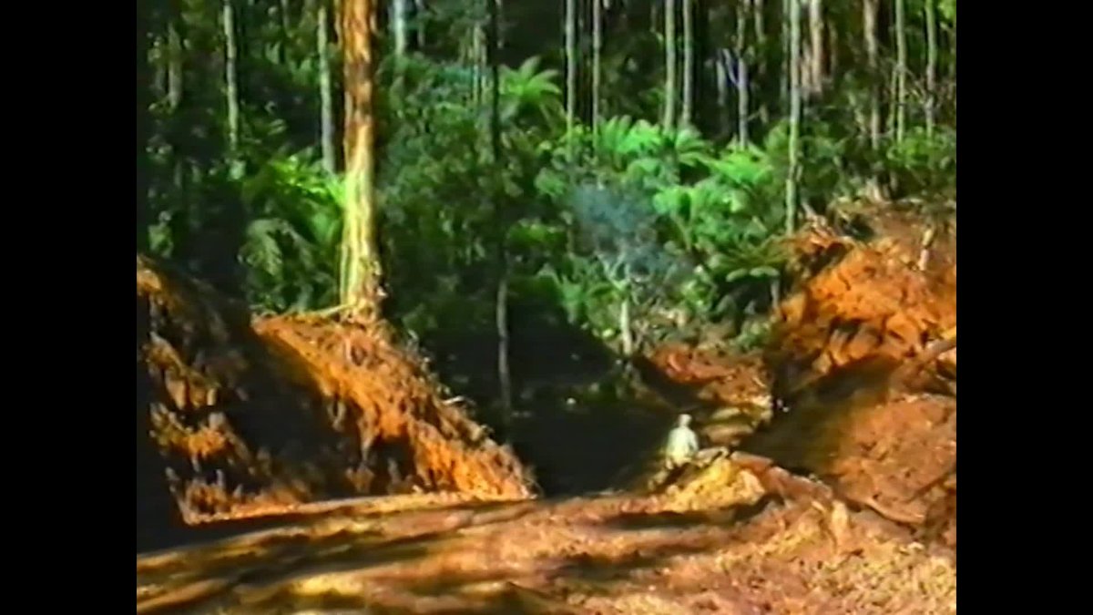 Living with forests thumbnail image.