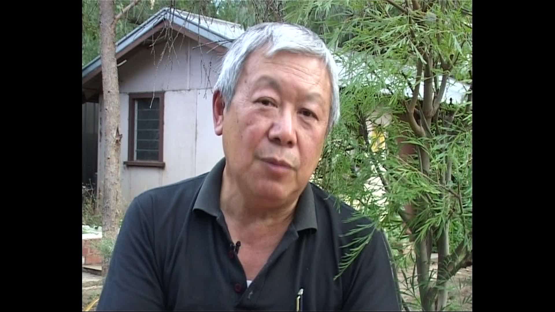 Dennis O'Hoy: Bendigo Born and Bred thumbnail image.