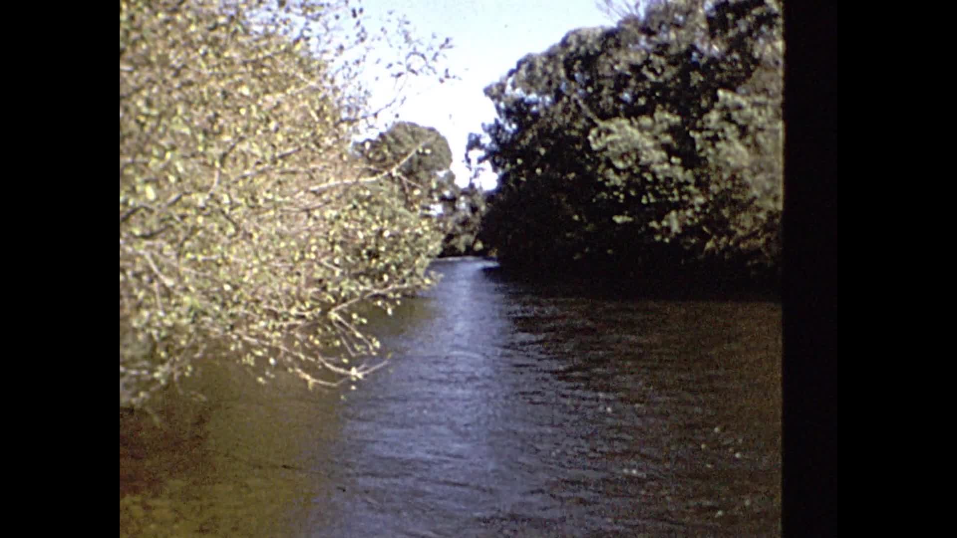 [Wallace Clarke Home Movies: Reel 26] thumbnail image.