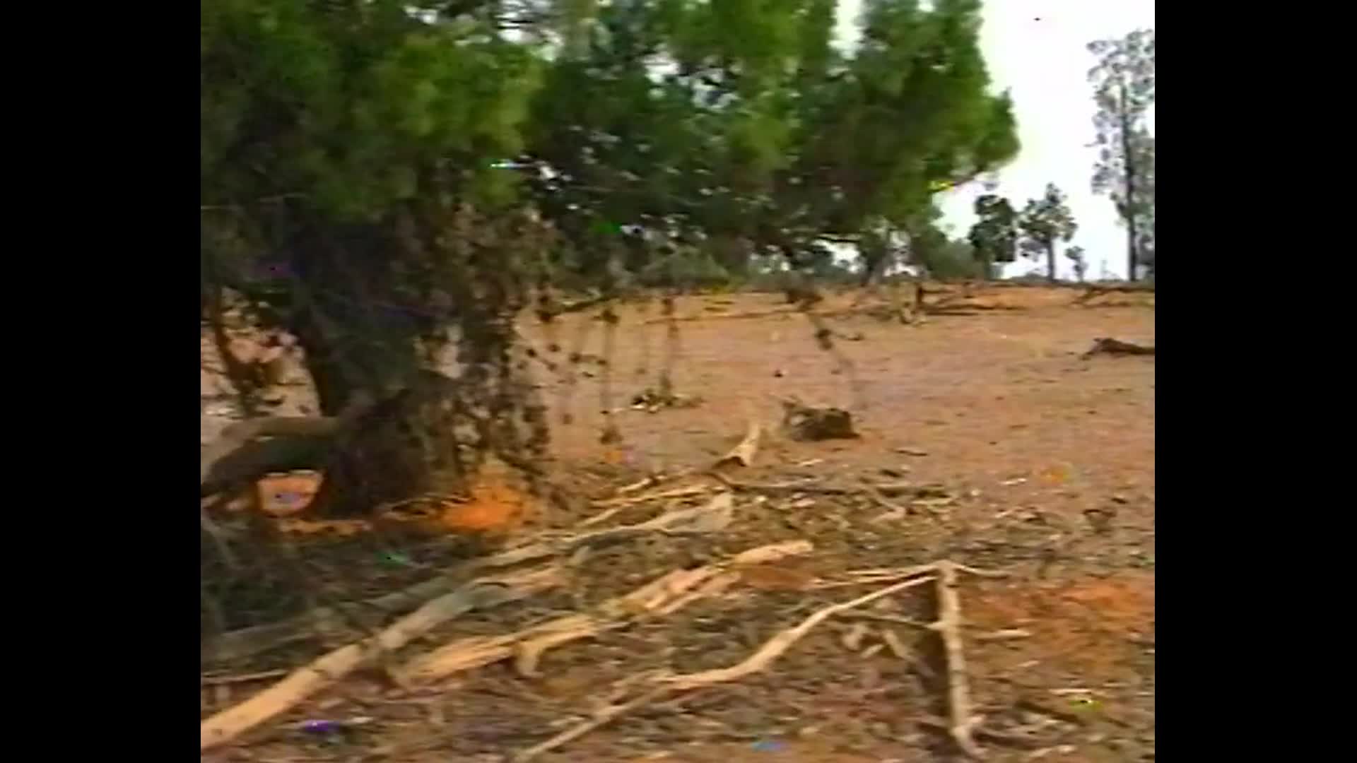 Conservation management of the new Mallee parks thumbnail image.