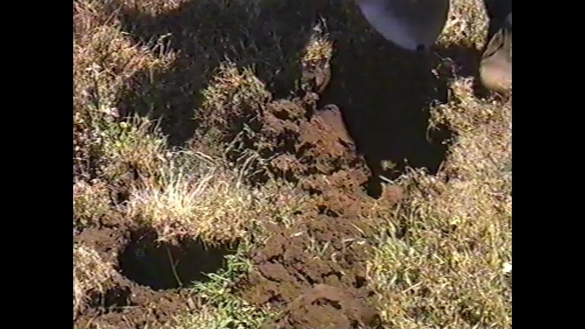 Rabbit control. Part 2: follow up thumbnail image.